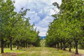 Użytkowana działka bez aktu notarialnego, kiedy i jak możliwe jest zasiedzenie?